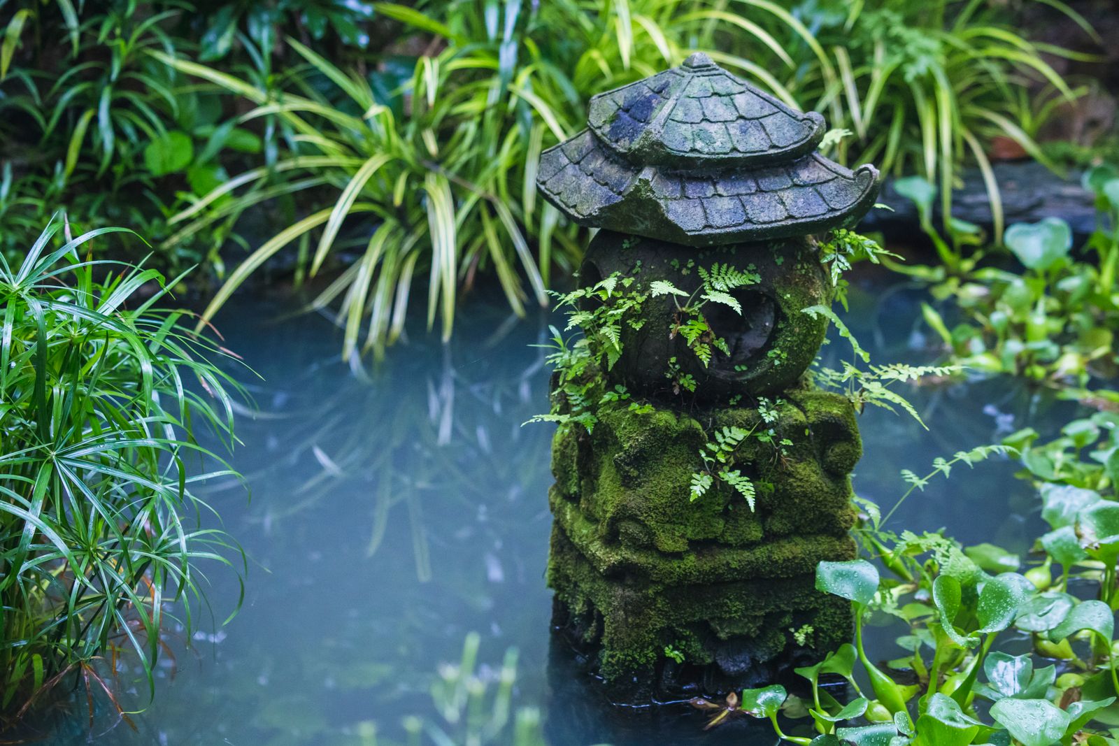 苔むした石灯籠のある日本庭園